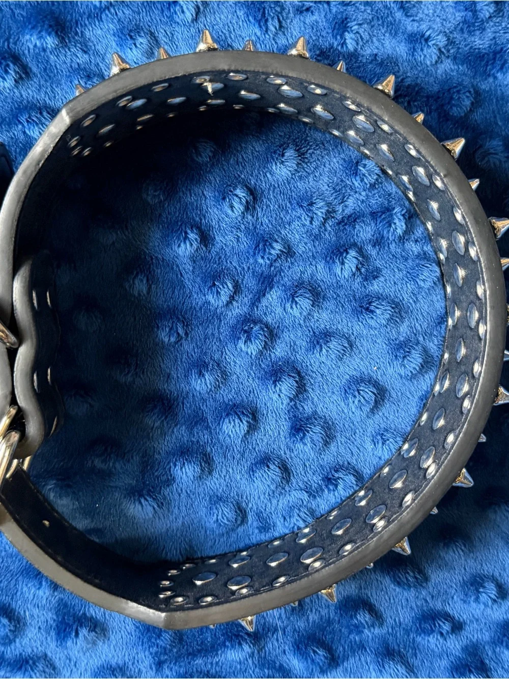 Black Spiked Leather Collar